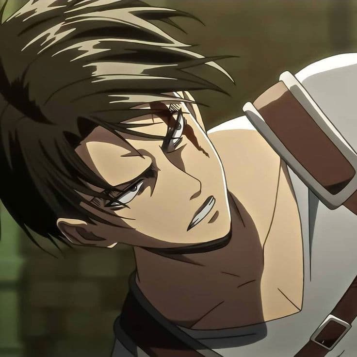 Thumbnail of Levi ackerman 
