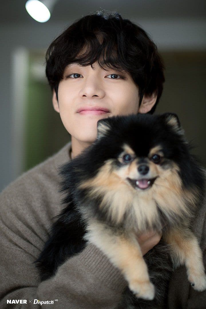 Thumbnail of V