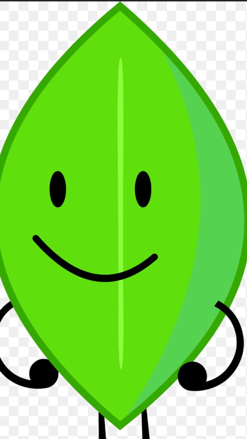 Thumbnail of Leafy bfdi