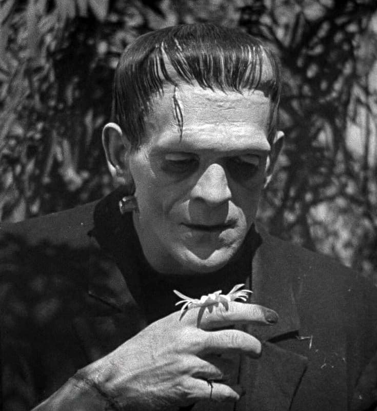 Thumbnail of Франкенштейн