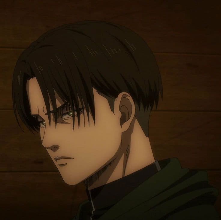Thumbnail of Levi Ackerman 