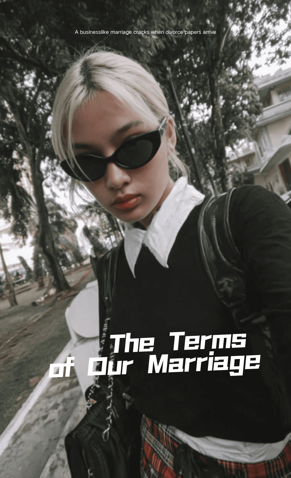 Thumbnail of The Terms of Our Marriage