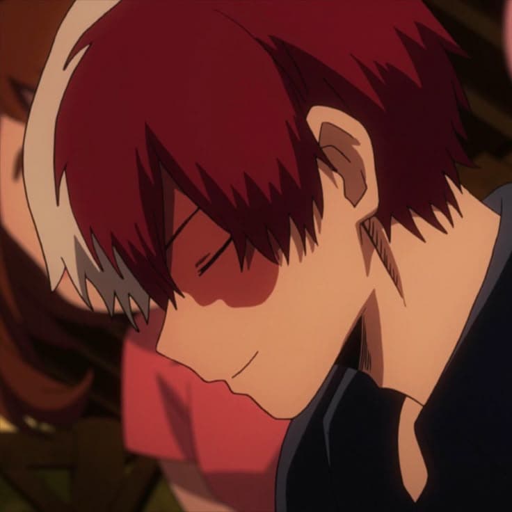 Thumbnail of Shoto Todoroki