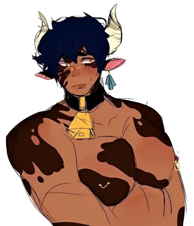 Thumbnail of Cow-boy Finn