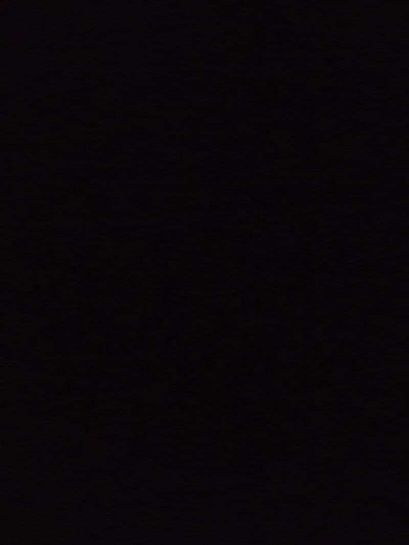 Thumbnail of jotaro kujo (single father)