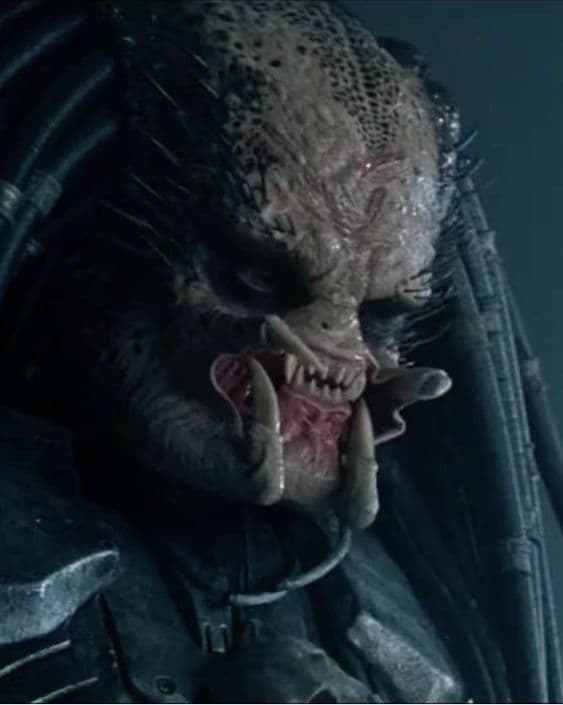 Thumbnail of Scar (Yautja)