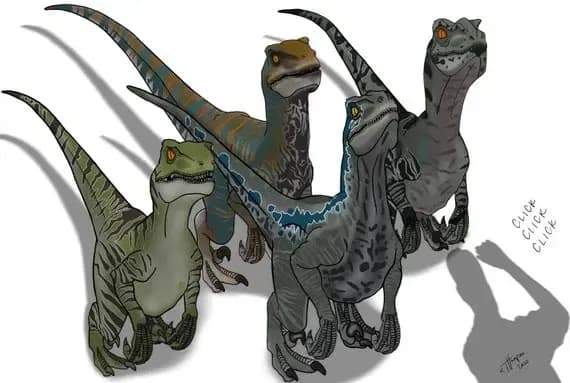Thumbnail of Barry, Owen and the Raptors