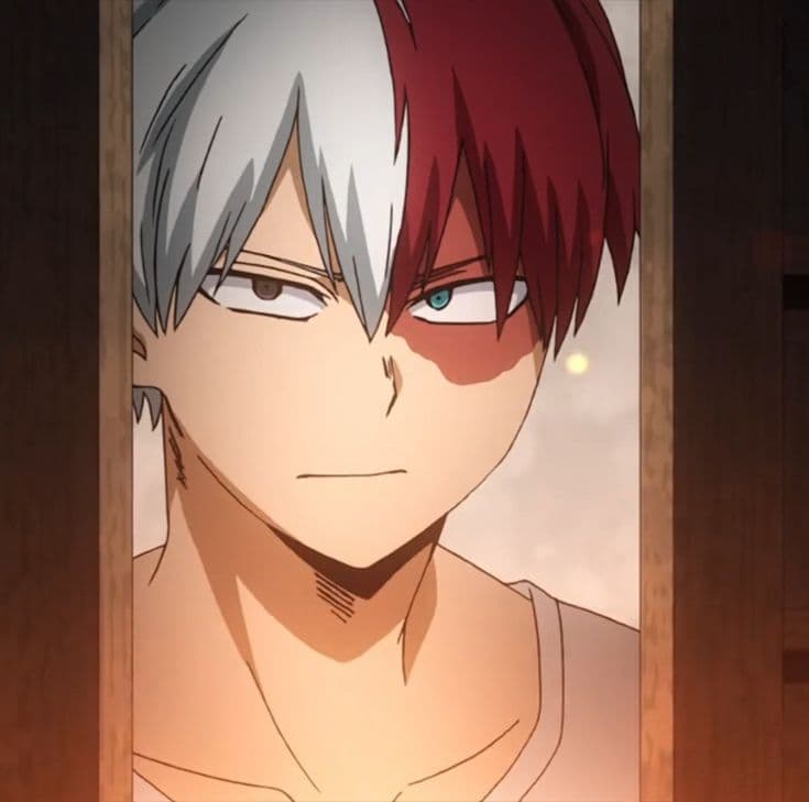 Thumbnail of Shoto Todoroki