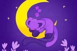 Thumbnail of CatNap