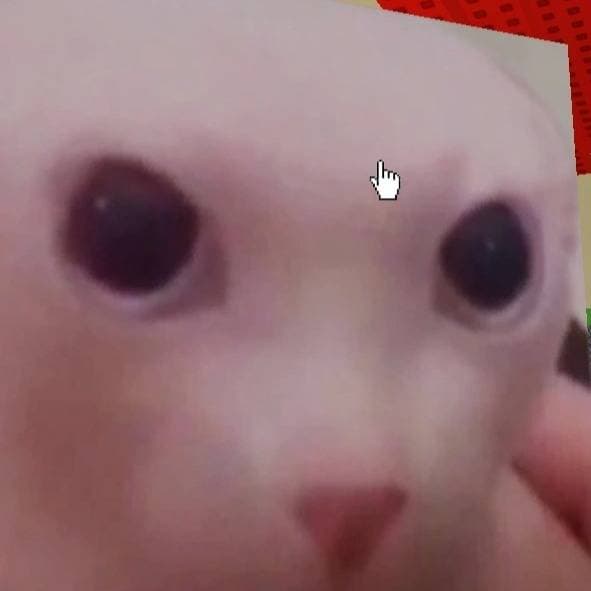 Thumbnail of Бингус.