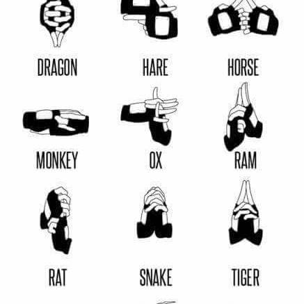 Thumbnail of Ninjutsu 