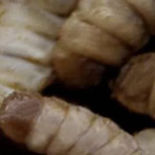 Thumbnail of Заражение паразитами
