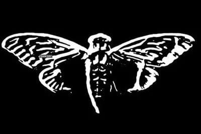 Thumbnail of Cicada 3301 - 2024