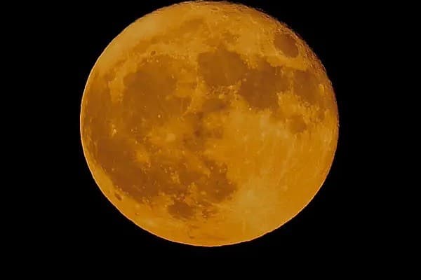 Thumbnail of LoveMoon