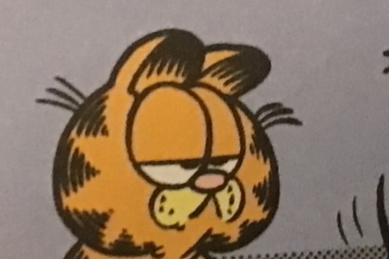 Thumbnail of Garfield 