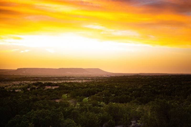 Thumbnail of West Texas
