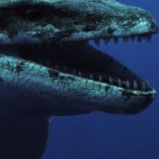 Thumbnail of \[ <+Dinocool!+> \]