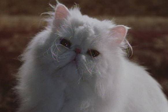 Thumbnail of mr tinkles