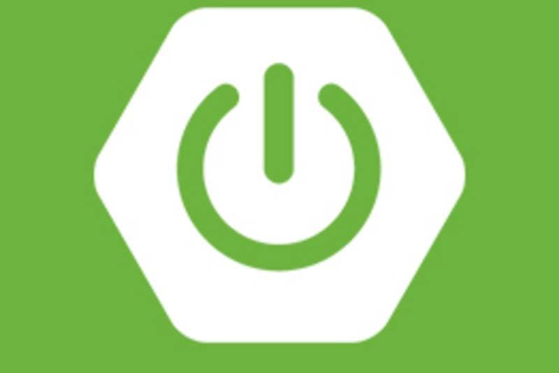 Thumbnail of small spring boot