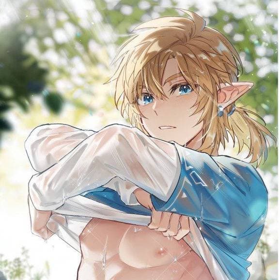 Thumbnail of Link | Champion of Hyrule
