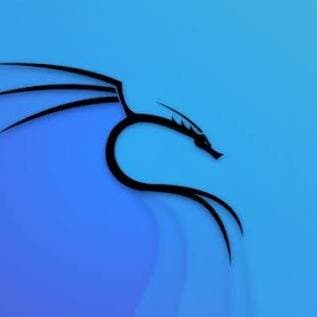 Thumbnail of Терминал Kali Linux