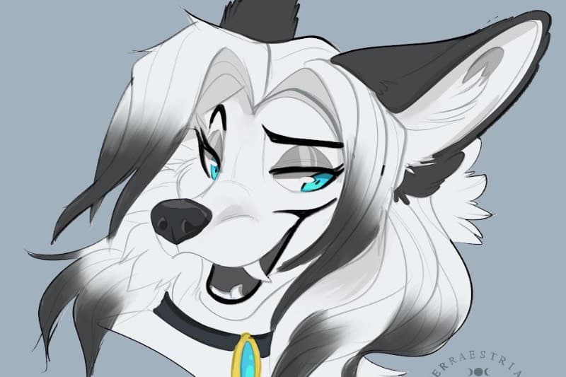 Thumbnail of Arctic 