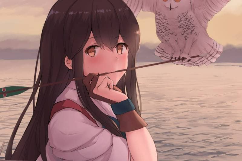 Thumbnail of Akagi