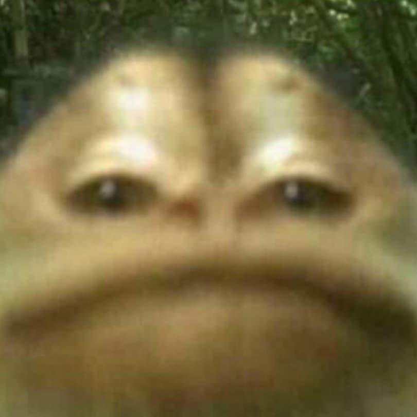 Thumbnail of Froog
