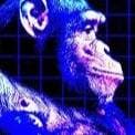 Thumbnail of Youtube TitleBot