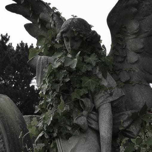 Thumbnail of _⁠.⁠✧konstantin ~ • ｡⁠_ ﾟ🌿stone Angel