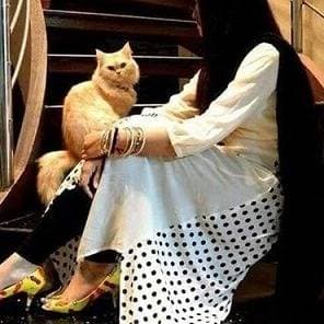 Thumbnail of Deema Escort Service 0509530047 Escorts in Deema By Dubai Escorts