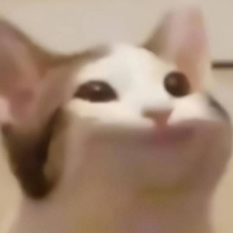 Thumbnail of Девушки-кошки
