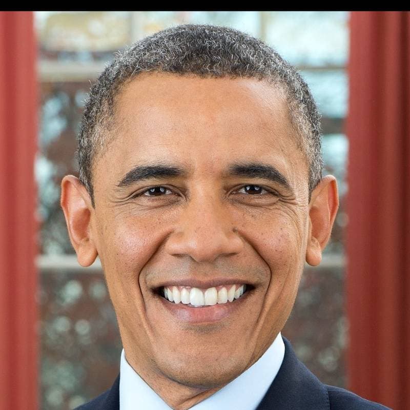 Thumbnail of Barack Obama
