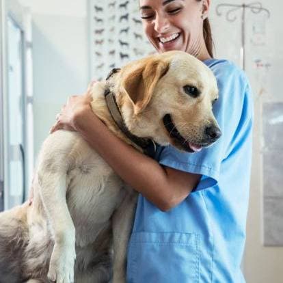 Thumbnail of PET HELP ASSISTANT