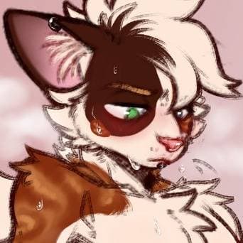 Thumbnail of Ordan