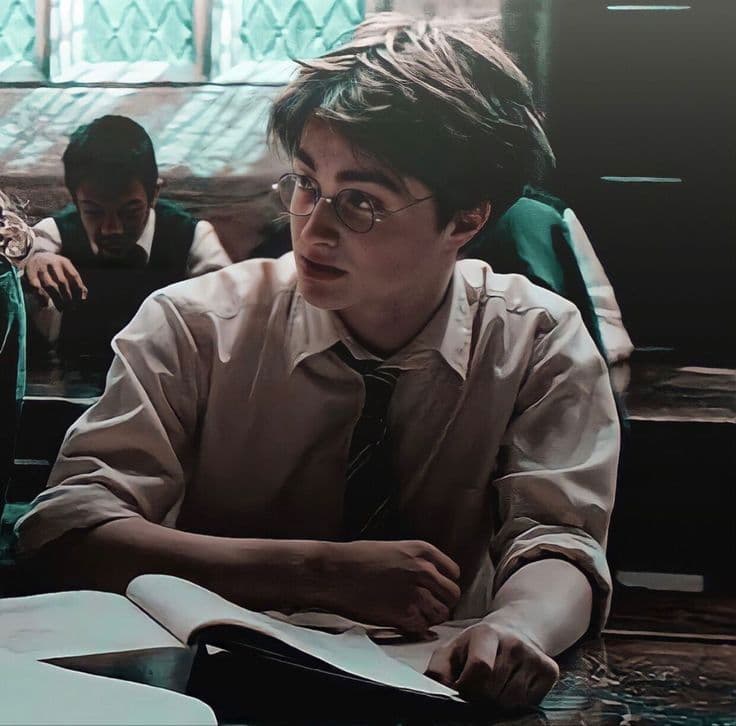 Thumbnail of Harry J. Potter 
