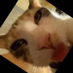 Thumbnail of Создатель гонки