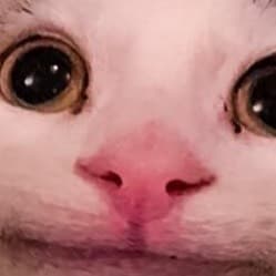 Thumbnail of КДж