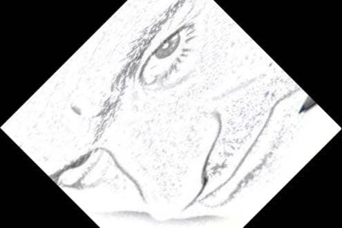 Thumbnail of Джазов Компаньон
