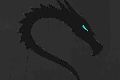 Thumbnail of KALI LINUX HACKER