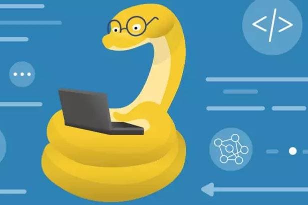 Thumbnail of  Python programmer