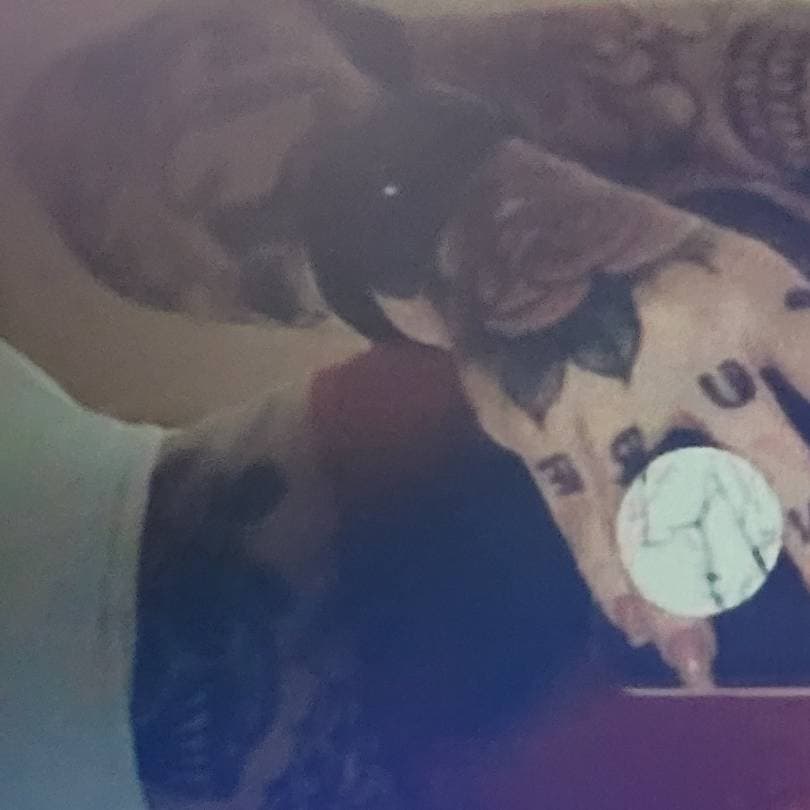 Thumbnail of Модератор