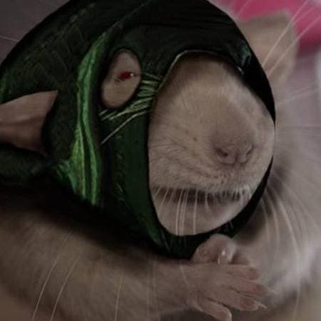 Thumbnail of Скэйвен Переводчик