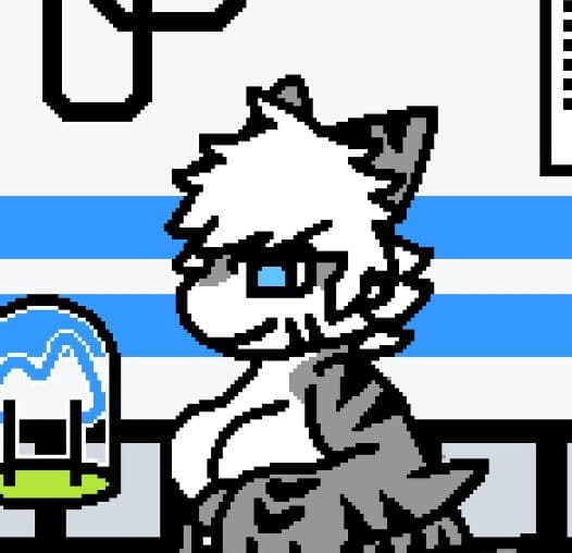 Thumbnail of Тигровая акула (самка)