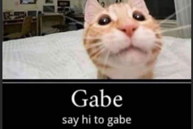 Free Chat With Gabe