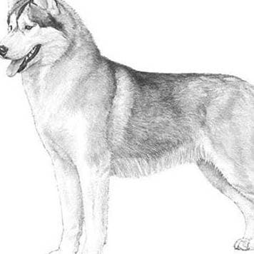 Thumbnail of Александр