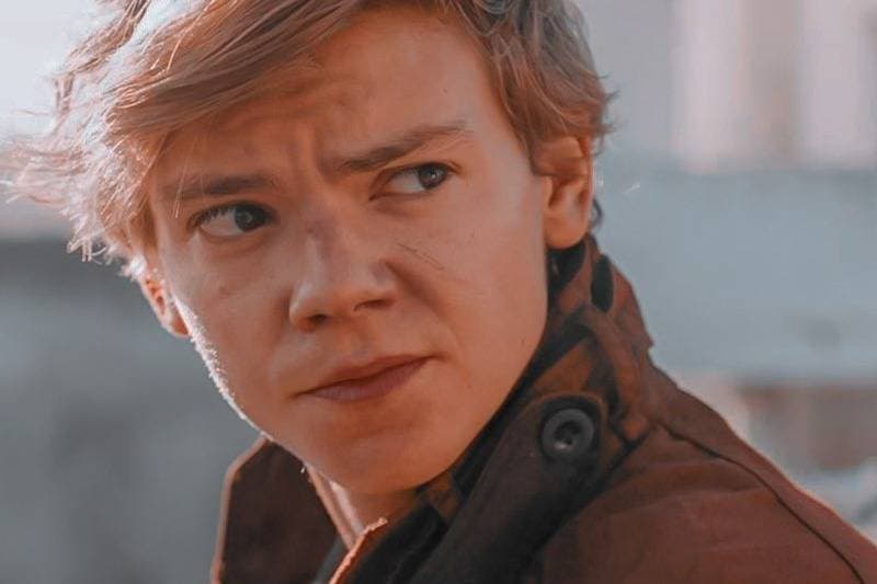 Thumbnail of Newt