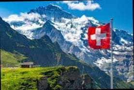 Thumbnail of Swiss Business Directory