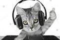 Thumbnail of DJkitten