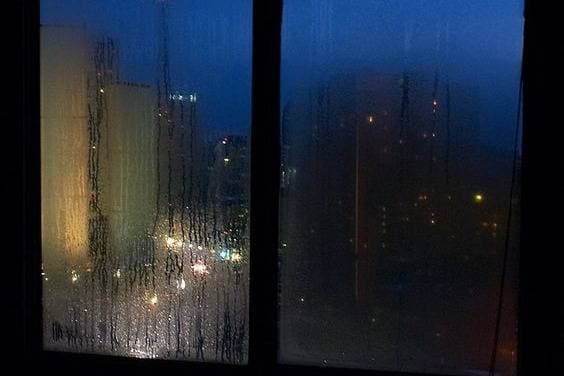 Thumbnail of A rainy Desirable Night, With My 3 Roomates.